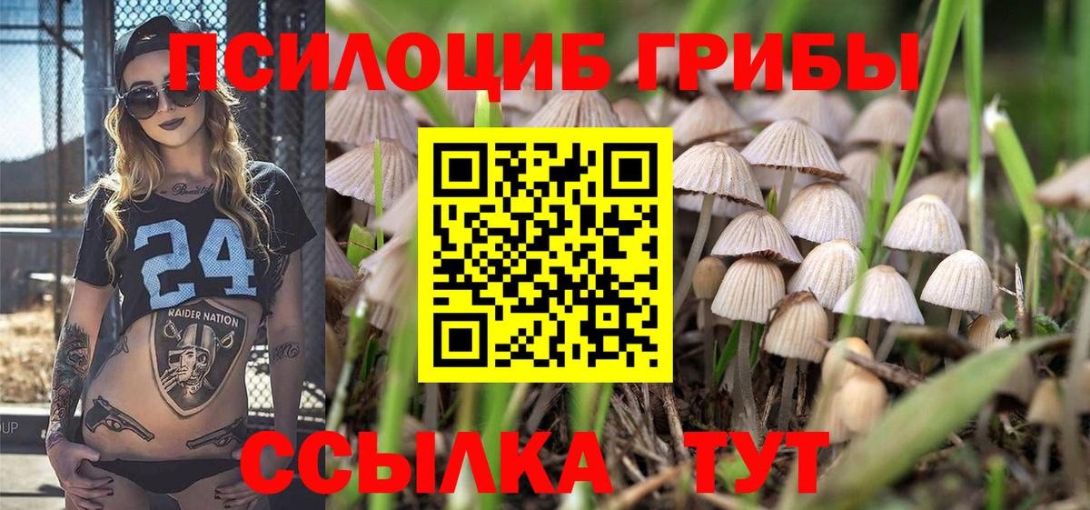 Псилоцибиновые грибы мухоморы  Галлюциногенные грибы прущие грибы  магазин    Вход с VPN  Кизилюрт 